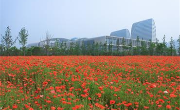 聚焦花园经济引领康健生涯 2020花园大会举行